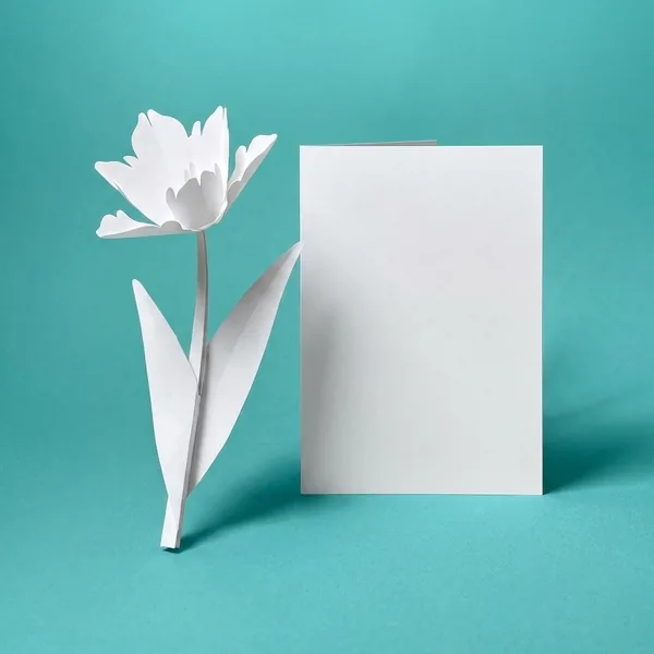 Tulpe als weiße Leinwand